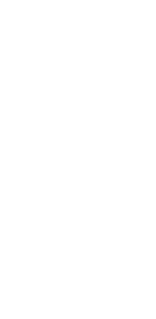 せいろ蒸し